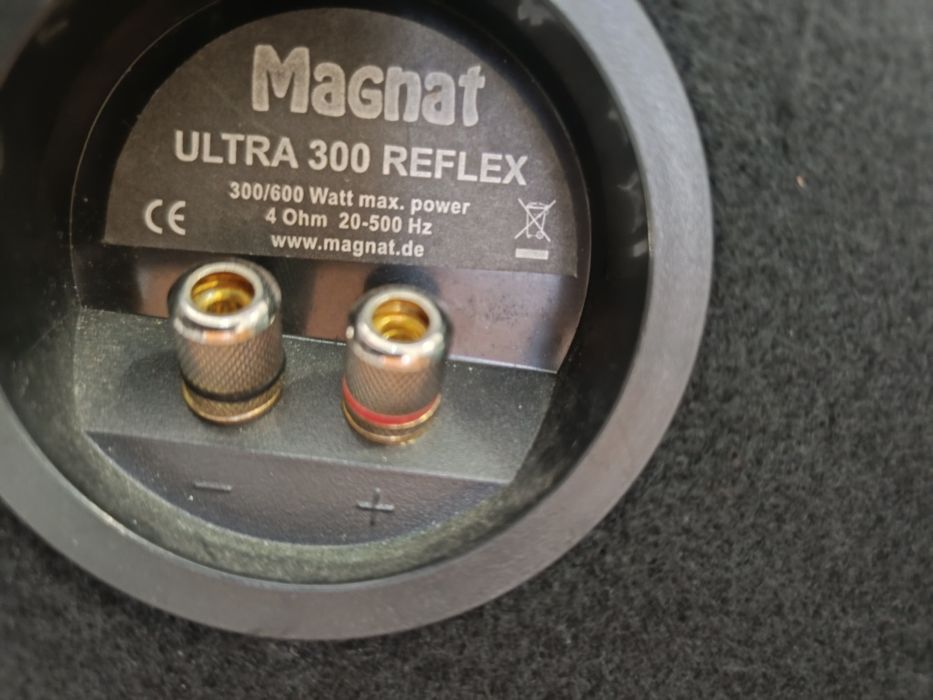 Conjunto Subwoofer e amplificador