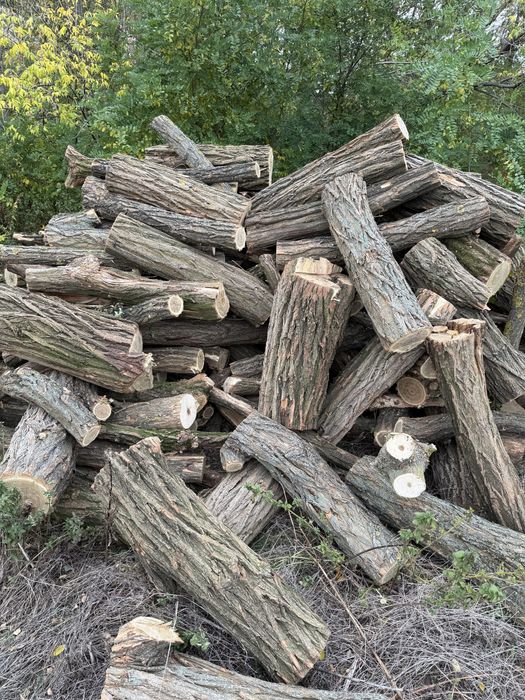 Дрова,акация,дуб,ясень,безПредоплат