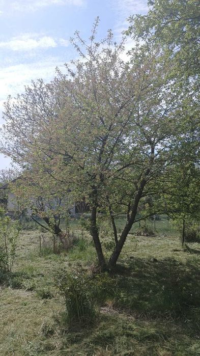 Zdjęcie 7