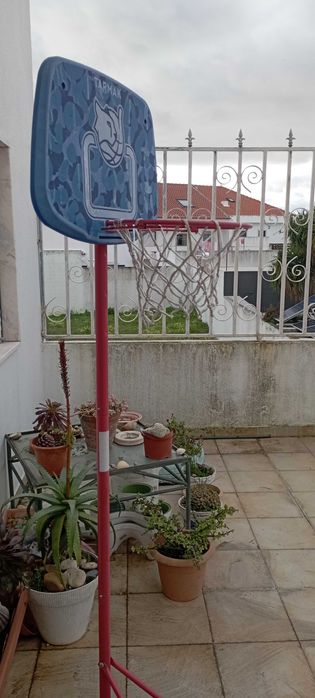 Cesto basket Decathlon