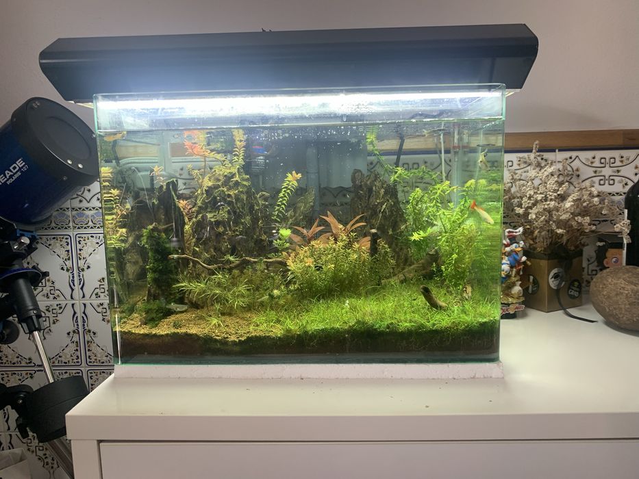 Calha de iluminação aquario 60cm