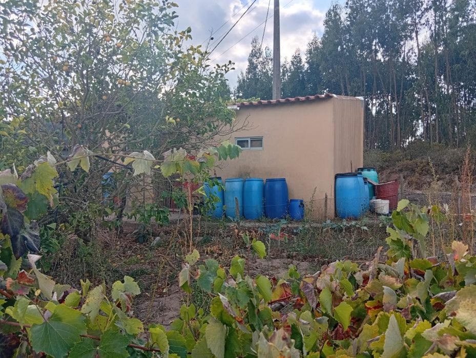 Terreno no Sobral da Abelheira, Mafra