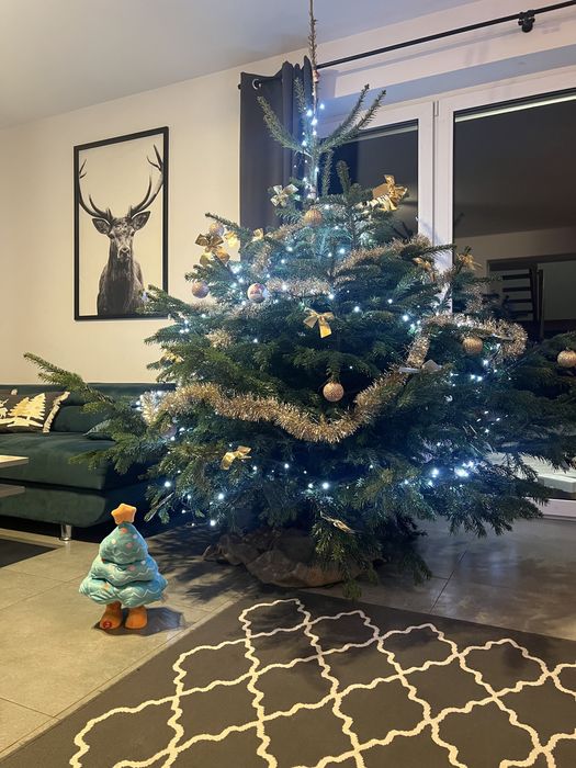 Dom w Suchej Beskidzkiej  jacuzzi sauna ruska bania kulig