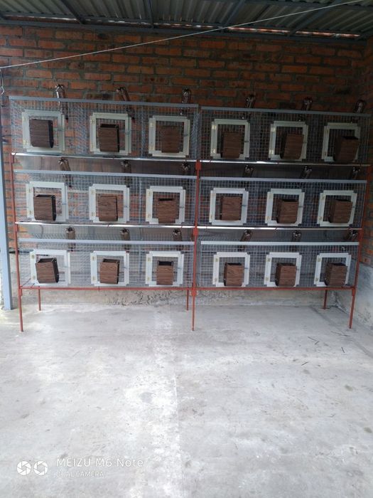 Клітка для кролів, нутрій