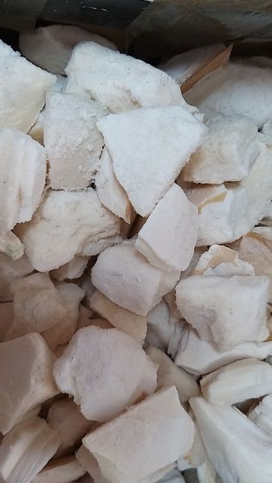 Osso de Choco aos quadrados.