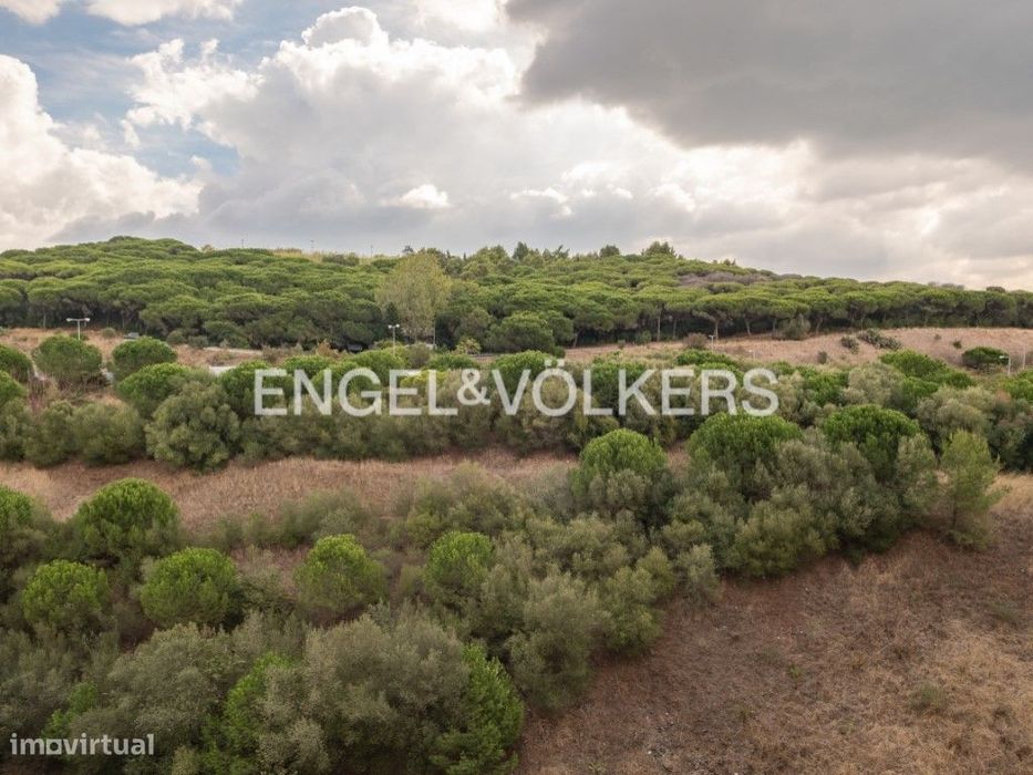 Amplo T3 em Algés