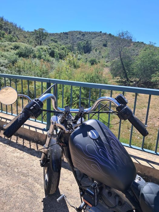 Harley davidson 883 xlh