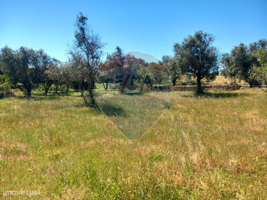 Terreno  para venda — Monte da Pedra, Portalegre