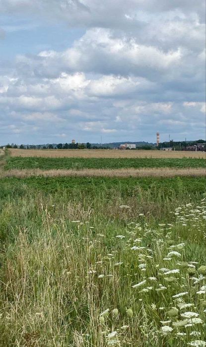 Продам земельну ділянку в с. Обарів