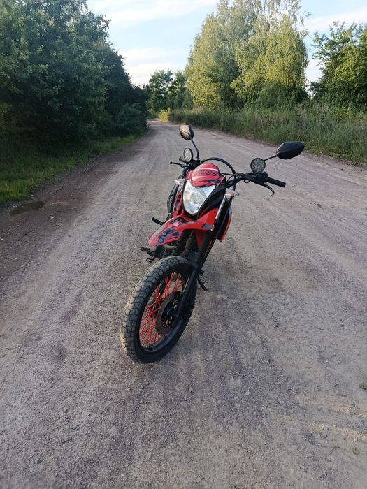 Продам лонсін прус 200