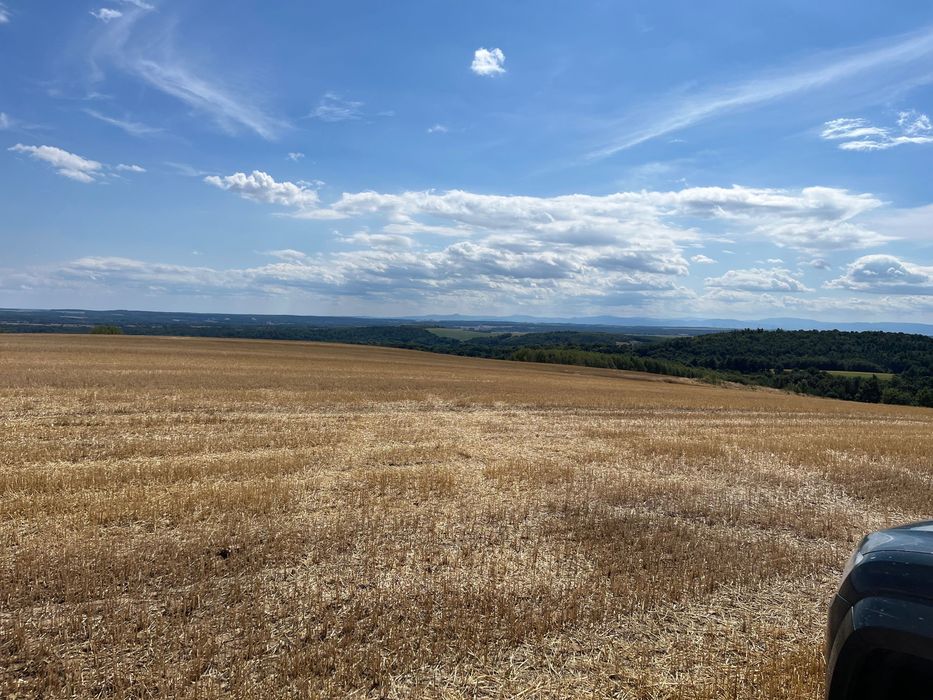 Oddam w dzierżawę 178 Hektarów - Widok 4