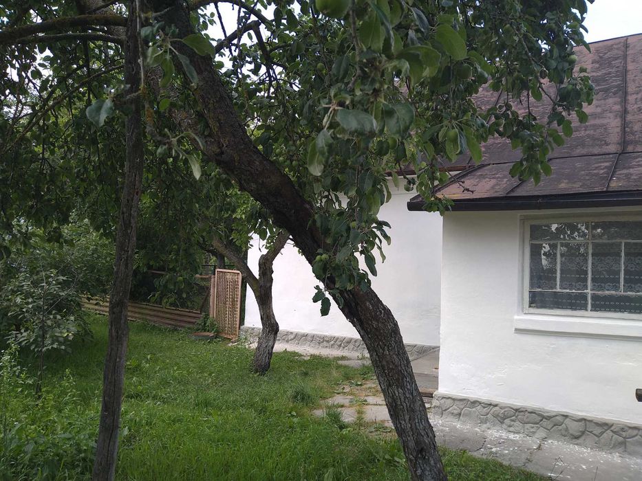 Продаж будинку та земельної ділянки 50 соток, місто Берестечко