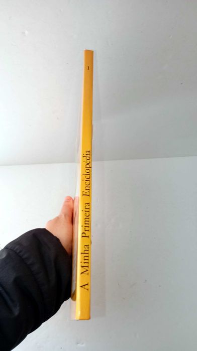 A Minha Primeira Enciclopédia - Verbo Infantil