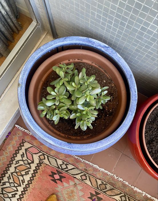 Pote Vaso grande ceramica vidrado azul