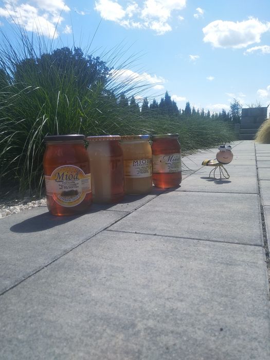 Miód z własnej pasieki