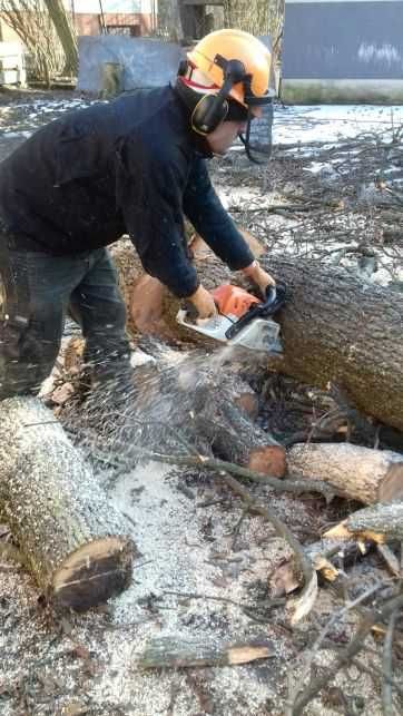 Usługi rębakiem rozdrabnianie zrębkowanie mielenie gałęzi drzew pni