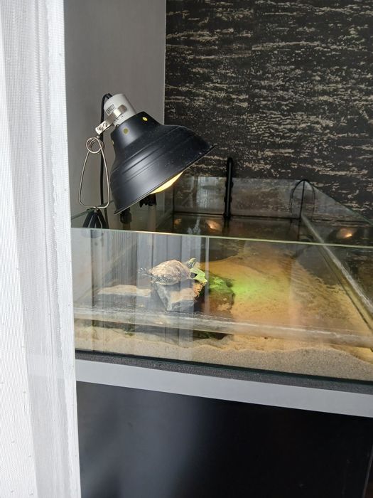 Zestaw  / akwarium wraz ze stołem i wszystkimi dodatkami