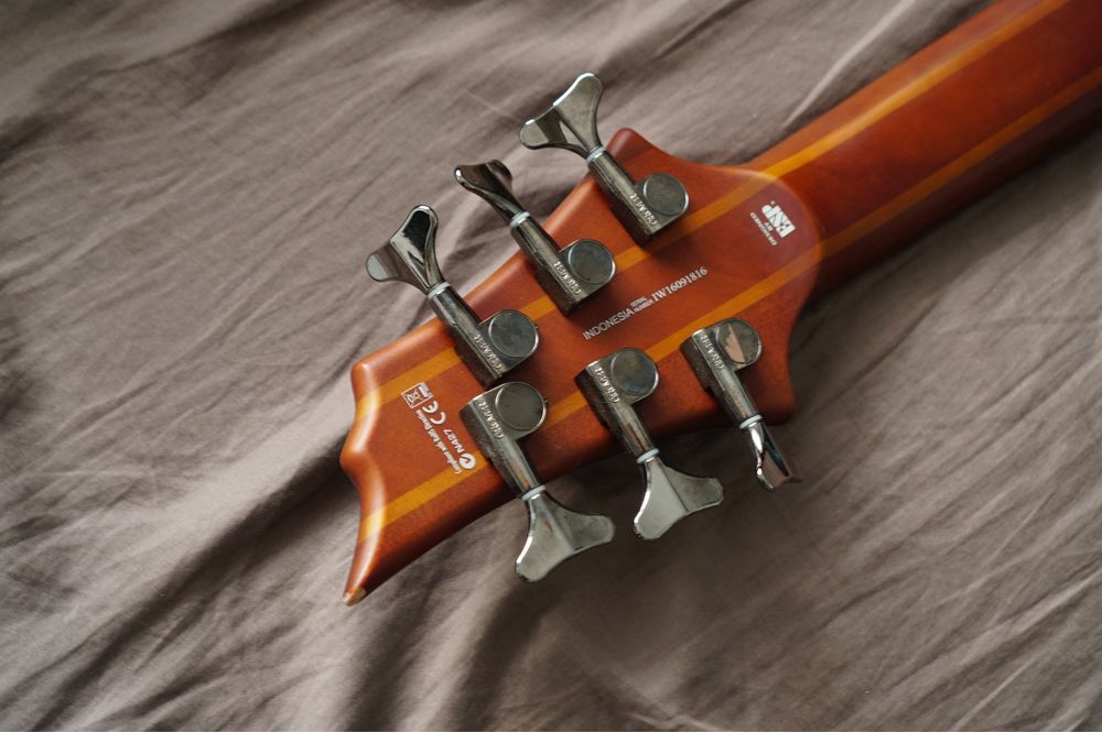 Esp ltd D-6 steunowa gitaea basowa