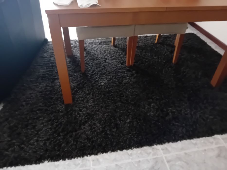 Carpete de sala em estado novo