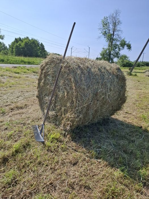Sianko wiejskie jurajskie ziołowe mix 4sz x 1kg