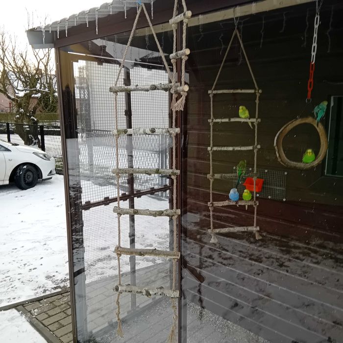 Drabinka dla papug lub ptaków