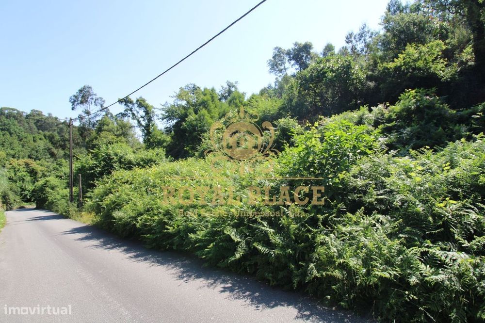 Terreno com 4 700m2 em Avintes