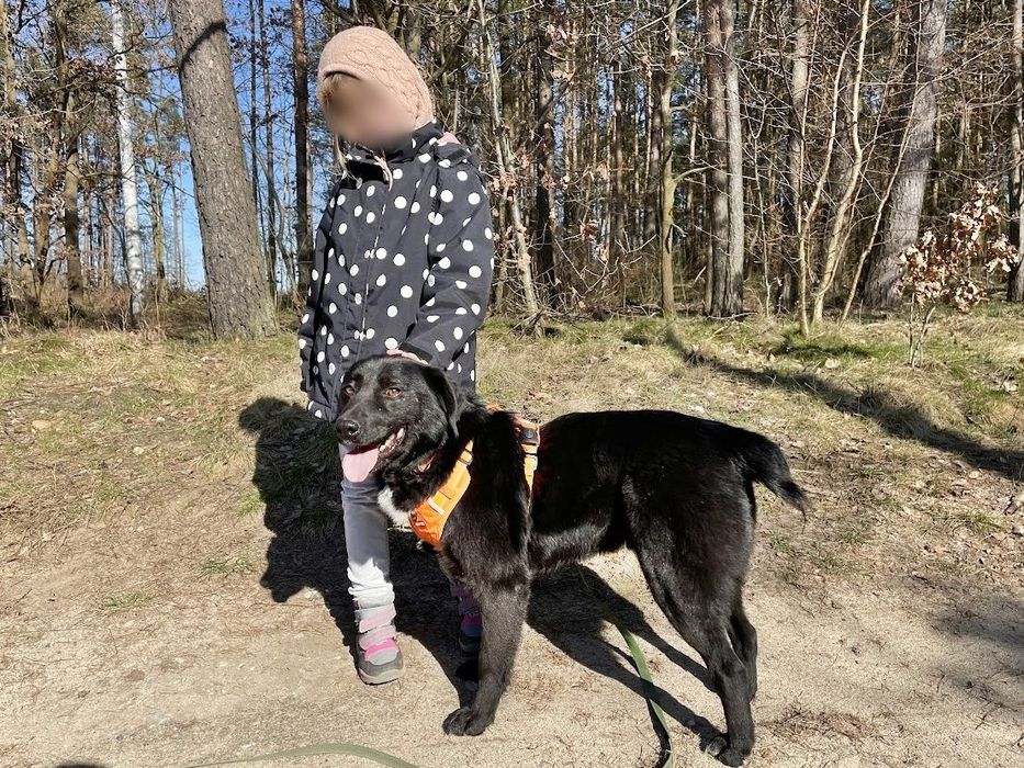 Lusiek na tropie domu