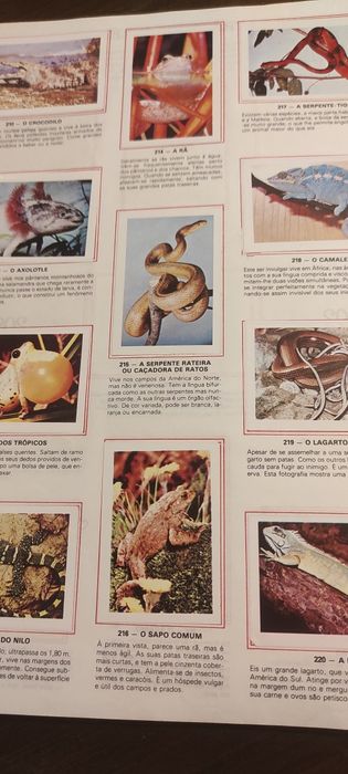 Caderta de cromos completa