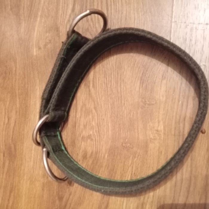 Szeroka obroża z taśmy 3cm