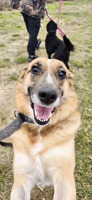 Odri o cudownym charakterze