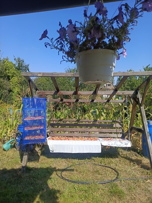 Продаж Дачі Обласна лікарня ст "Берізка"