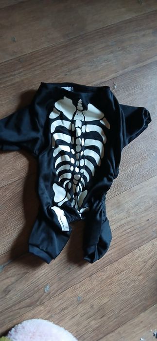 Вещи на маленькие собачку бу.