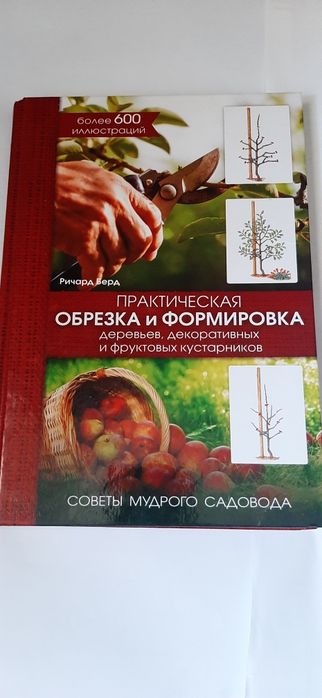 Обрезка и формирование деревьев и кустарников.