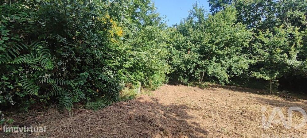 Terreno em Romarigães