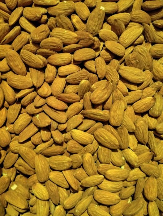 Miolo de amêndoa de 2025