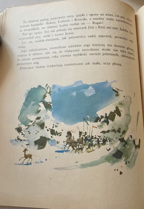 Rogaś z Doliny Roztoki