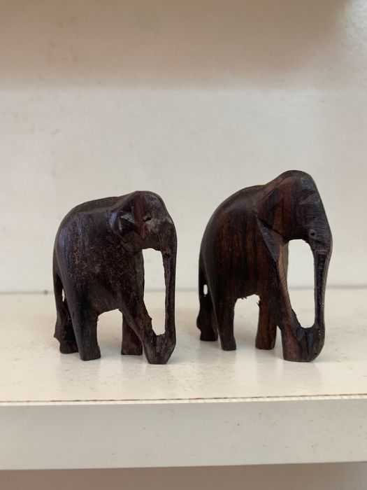 50 Elefantes em Madeira