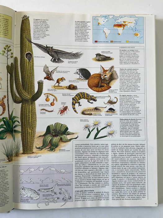 Grande Atlas do Mundo 1993