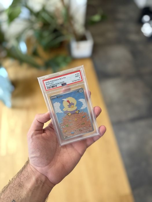 Karta pokemon rufflet psa 9