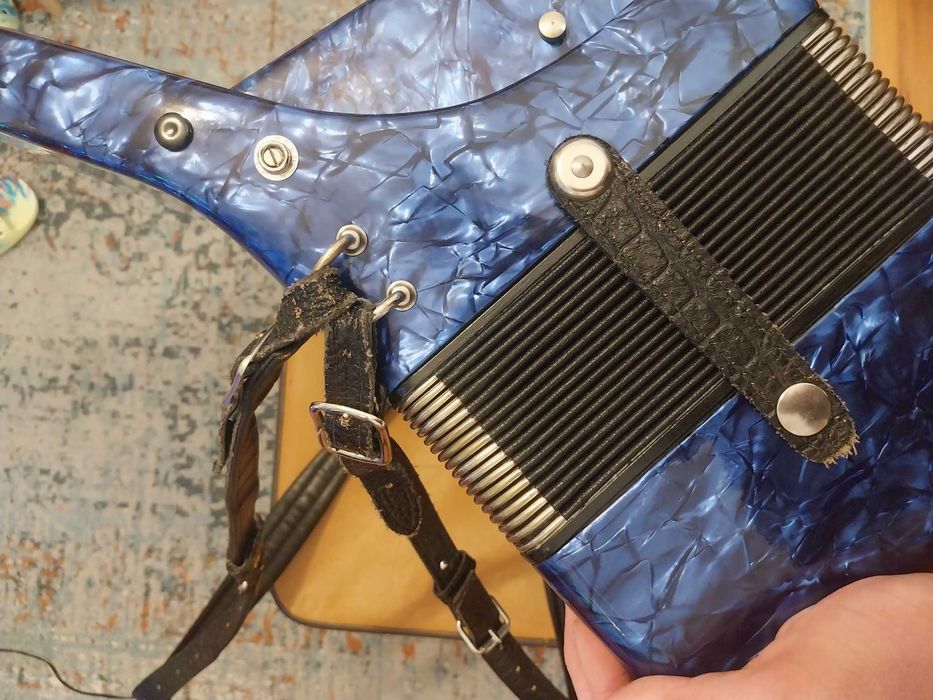 Akordeon Delicia Carmen XIV