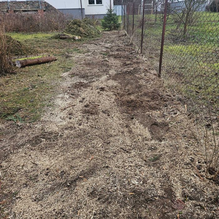 Usuwanie frezowanie pni