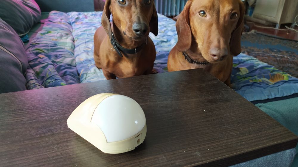 Инфракрасный датчик охранной сигнализации