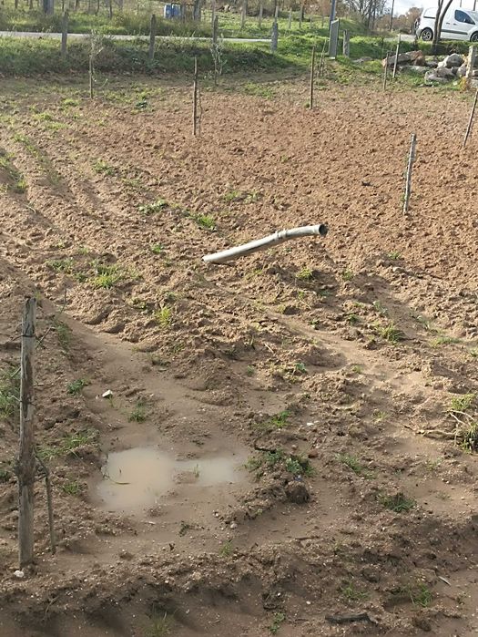 Terreno agrícola, casa, furo água, Alverca da Beira - Pinhel