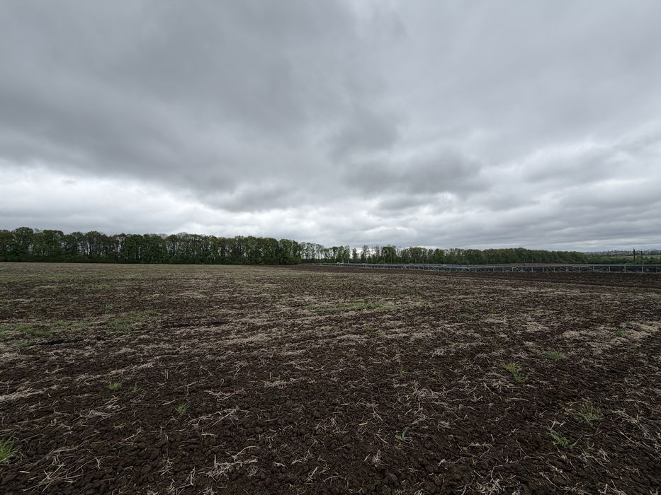 ПРОДАЖ ЗЕМЕЛЬНОЇ ДІЛЯНКИ В ЯКУШИНЦЯХ