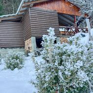 Чани на дровах Яремче/з виходом до річки/біля лісу/великий чан