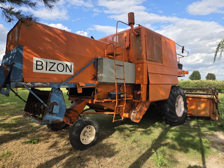 Bizon w całości na części