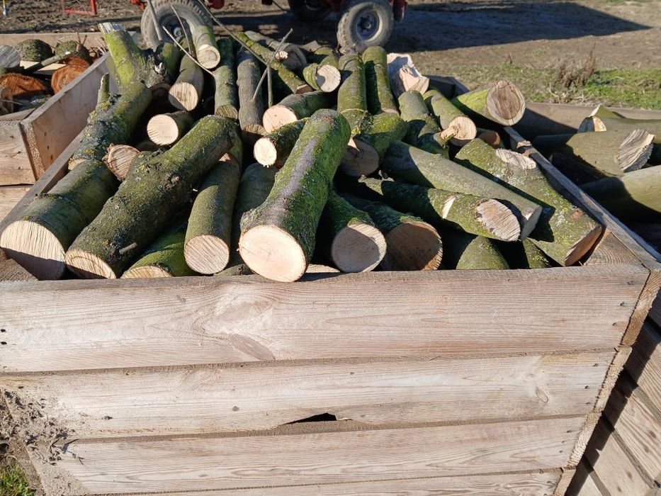 Sprzedam drewno na opał