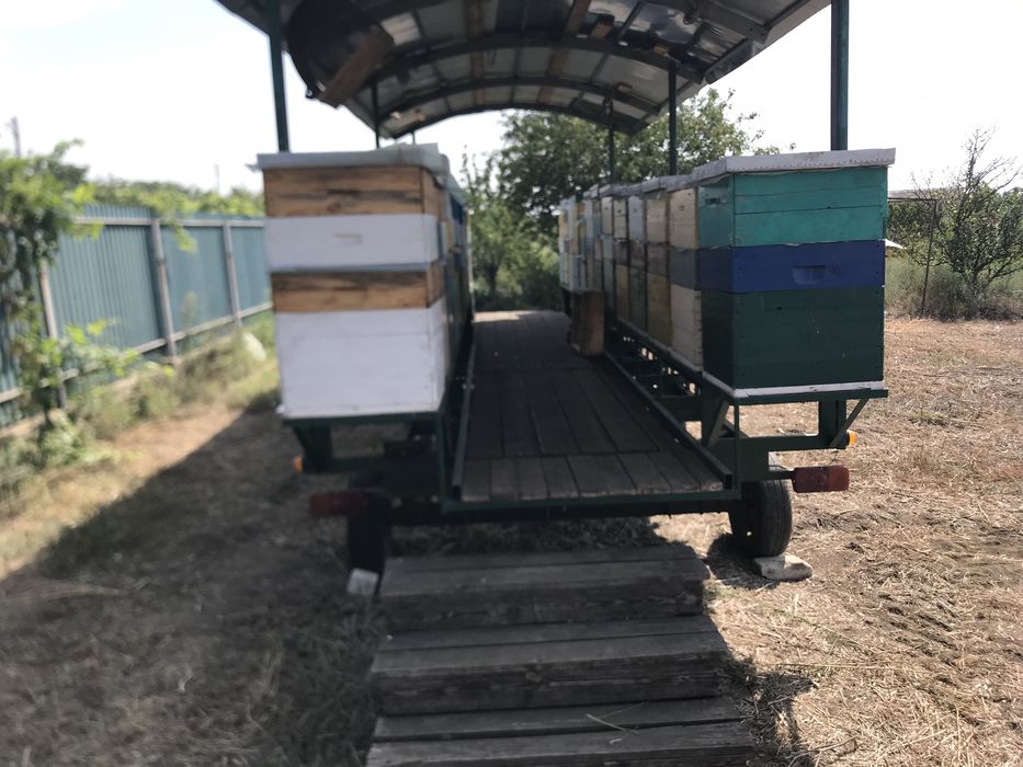 Прицеп для перевозки пчел: 1 700 $ - Другие прицепы Калаглия на Olx