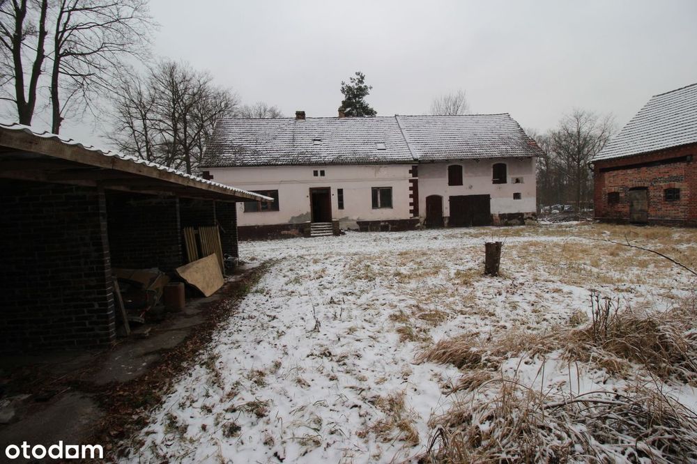 Roztoki - dom/gospodarstwo i działka budowlana, razem 0.63 ha - Widok 6