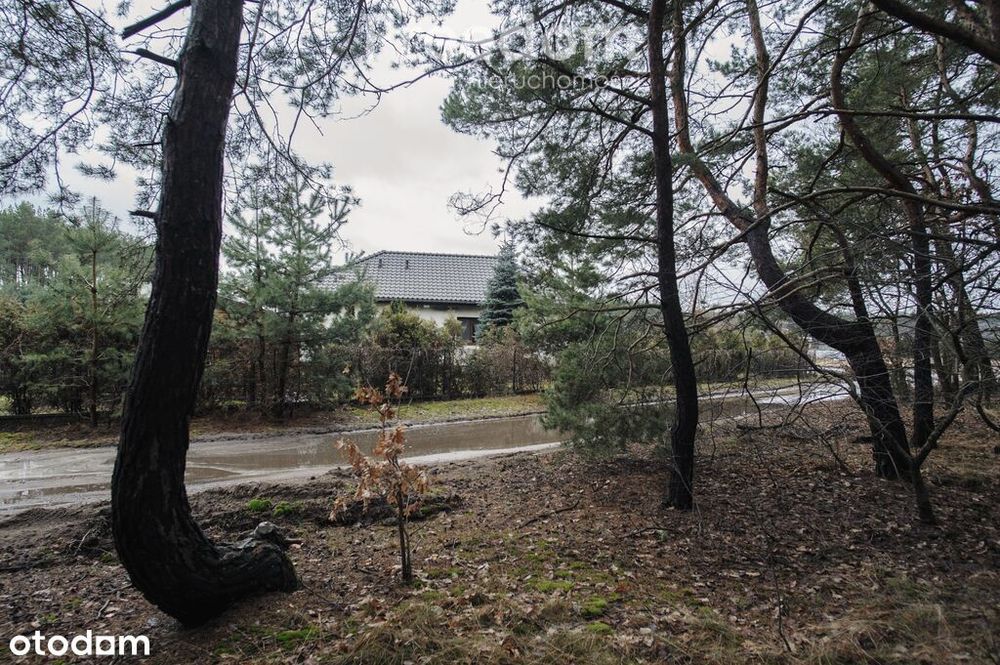 Klimatyczny, parterowy dom w Osieku